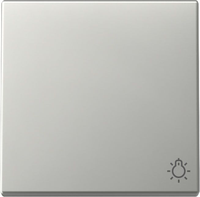 Gira 3285600 Wippe Symbol "Licht", System 55, Edelstahl