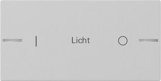 Gira 8622015 Wippe Wippenset 2-fach individuell Tastsensensor 4.55, grau matt