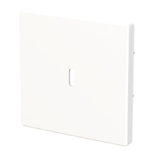 Busch-Jaeger 6479-84 Zentralscheibe für USB Ladestation 1-fach mit USB-C-Anschluss, Plattform 63, studioweiß glänzend