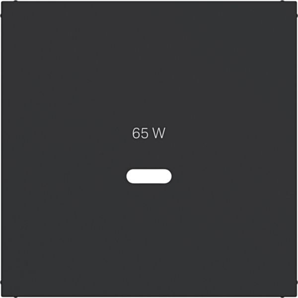 Hager WAF1511BM Zentralstück für Ladesteckdose USB-C Power Modul, A.x/C.x, nachtschwarz matt