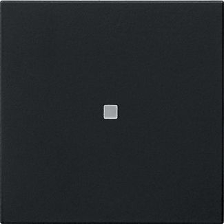 Gira 5371005 Wippe 1-fach unbedruckt Kontrollfenster, System 55, schwarz matt