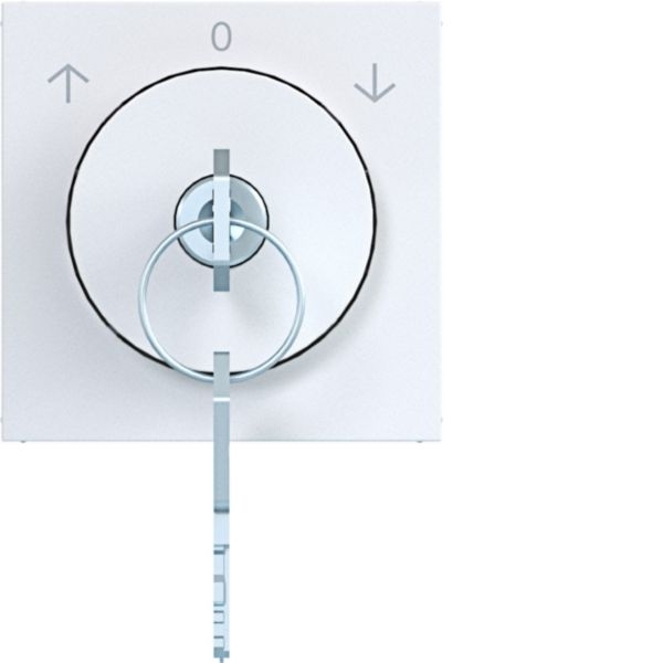 Hager WAF1320WG Zentralstück mit Schloss und Tast-/Rast-Funktion, für Jalousie-Schlüsselschalter, Schlüssel in 0-Stellung abziehbar, A.x/C.x, lichtweiß glänzend