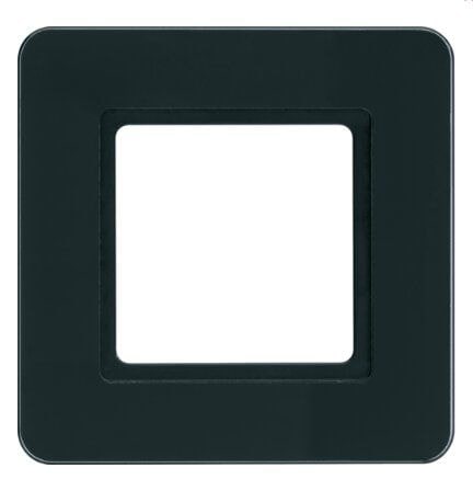 Berker 10116176 Rahmen 1-fach, Q.7,für LED-Beleuchtung durch LED-Modul, Glas schwarz