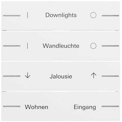 Gira 862472 Ersatzwippe für Wippenset 4-fach individuell für Tastsensor 4.70, reinweiß seidenmatt lackiert