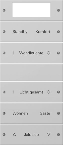 Gira 2215015 Wippenset 5-fach, Plus (2+3) beschreibbar, System 55, grau matt (lackiert)
