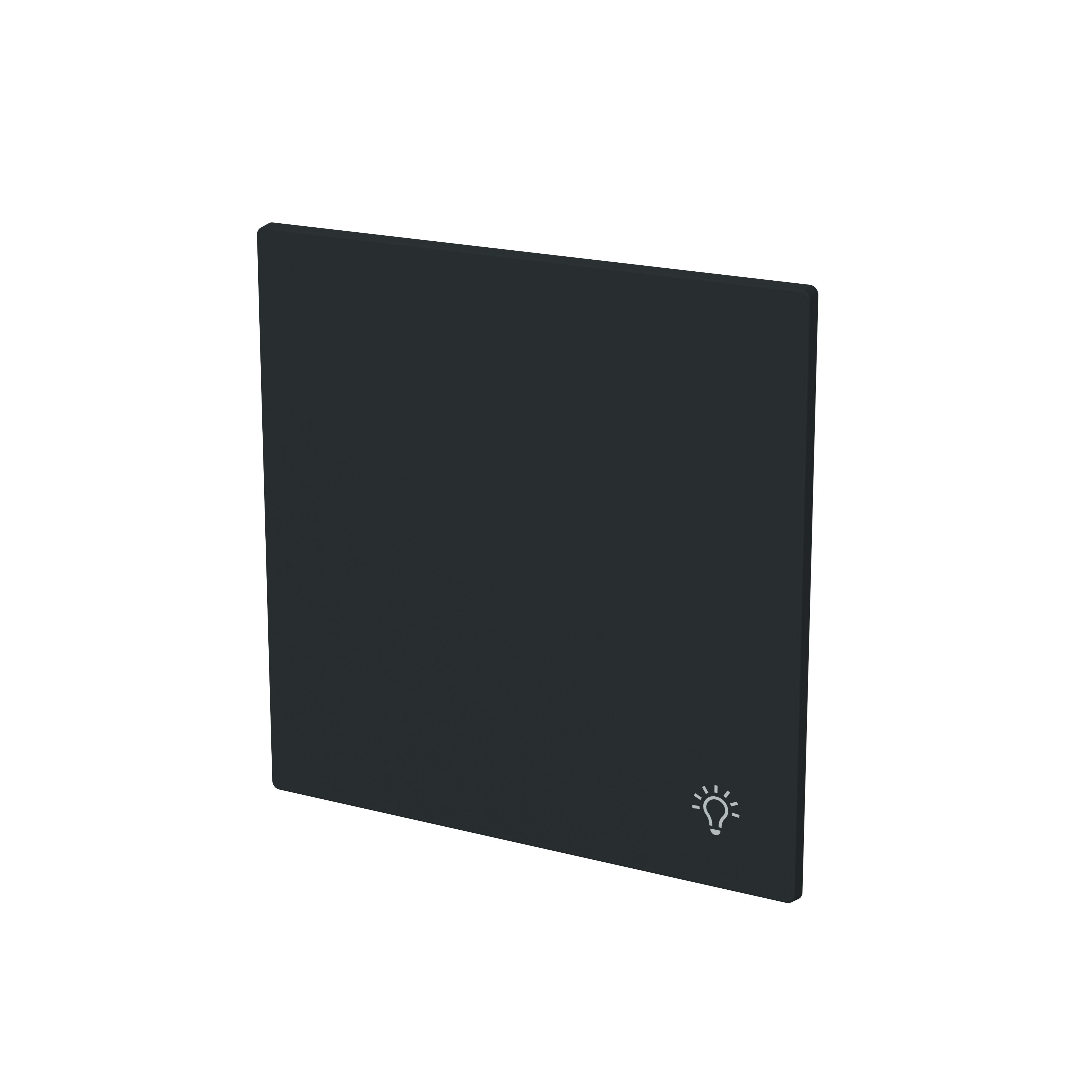 Busch-Jaeger 2520 LI-45M Wippe 1-fach mit Symbol "Licht", schwarz matt, Busch-art linear