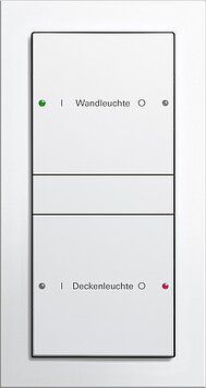 Gira 218103 Wippenset 1-fach, System 55, reinweiß glänzend(lackiert)