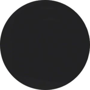 Berker MAN0306324 Wippe 1-fach, R.Classic, schwarz matt