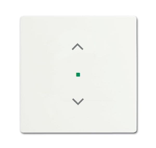 Busch-Jaeger 6232-10-884 Wippe 1-fach mit Symbol Jalousie
