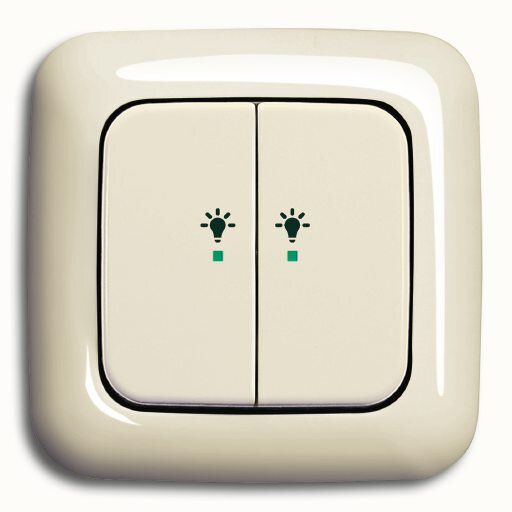 Busch-Jaeger 6231-22-212 Wippe 2-fach rechts mit Symbol Licht