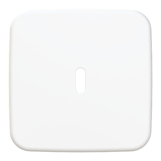 Busch-Jaeger 6479-214 Zentralscheibe für USB Ladestation 1-fach mit USB-C-Anschluss, Reflex SI, alpinweiß glänzend