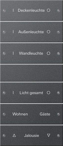 Gira 220628 Wippenset 6-fach (3+3) beschreibbar System 55 Anthrazit lackiert