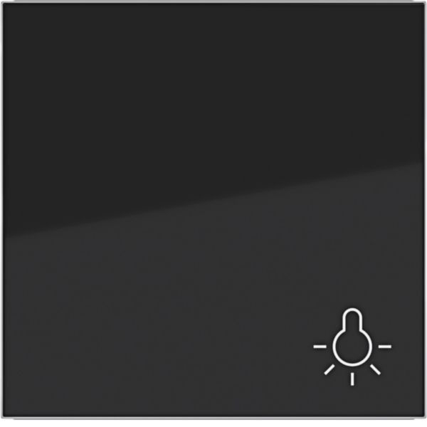 Hager WAW1012BG Wippe 1-fach mit Aufdruck Symbol Licht, A.x/C.x, nachtschwarz glänzend