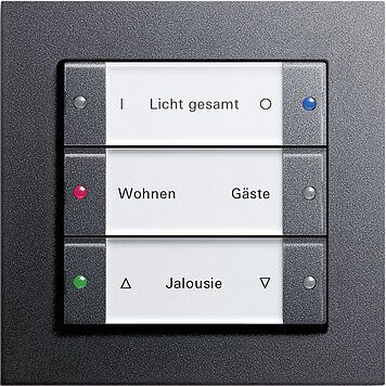 Gira 213328 Wippenset 3-fach mit Beschriftungsfeld, System 55, Klar/anthrazit