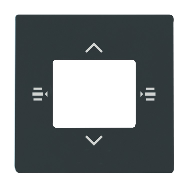 Busch-Jaeger 6108/61-81 Zentralscheibe für Bedienelement 6-fach, anthrazit glänzend, Plattform 63, KNX