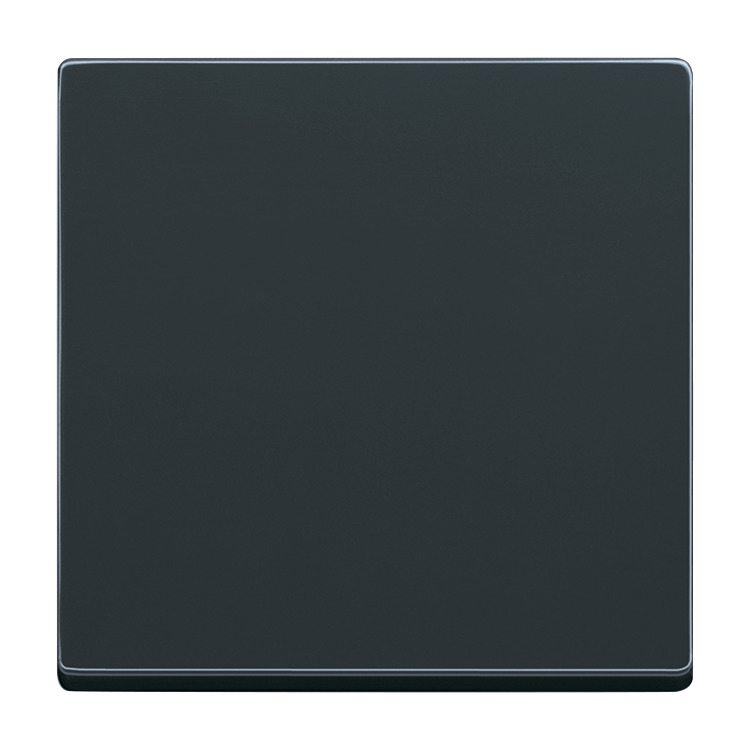 Busch-Jaeger 6735 BT-81 Wippe 1-fach für Smart Switch Einsatz, anthrazit