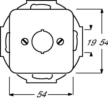 Busch-Jaeger 2534-212 Zentralscheibe mit Tragring für Geräte 19 mm Ø (Twinax), weiß glänzend, Busch-Duro 2000 SI