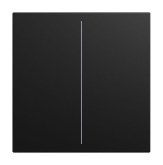Busch-Jaeger LFW/A.2.55.11-915 Abdeckung 2-fach für Keypad 1- bis 4-fach, Busch-Trevion, Busch-balance SI, KNX, schwarz matt