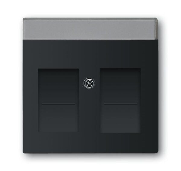 Busch-Jaeger 1800-885  Zentralscheibe Modular Jack, 2-fach, mit Beschriftungsfeld, mit 2 Öffnungsschiebern, schwarz matt, Plattform 63