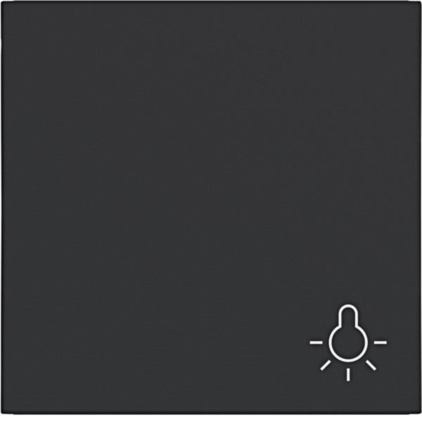 Hager WAW1012BM Wippe 1-fach mit Aufdruck Symbol Licht, A.x/C.x, nachtschwarz matt