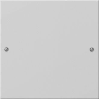 Gira 2181015 Wippenset 1-fach, System 55, grau matt(lackiert)