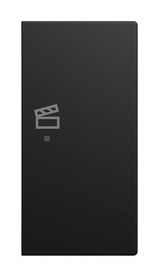 Busch-Jaeger 6233-22-915 Wippe 2-fach rechts, mit Symbol "Szene", Busch-free@home, Busch-balance SI, schwarz matt