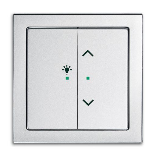 Busch-Jaeger 6231-21-83 Wippe 2-fach links mit Symbol Licht