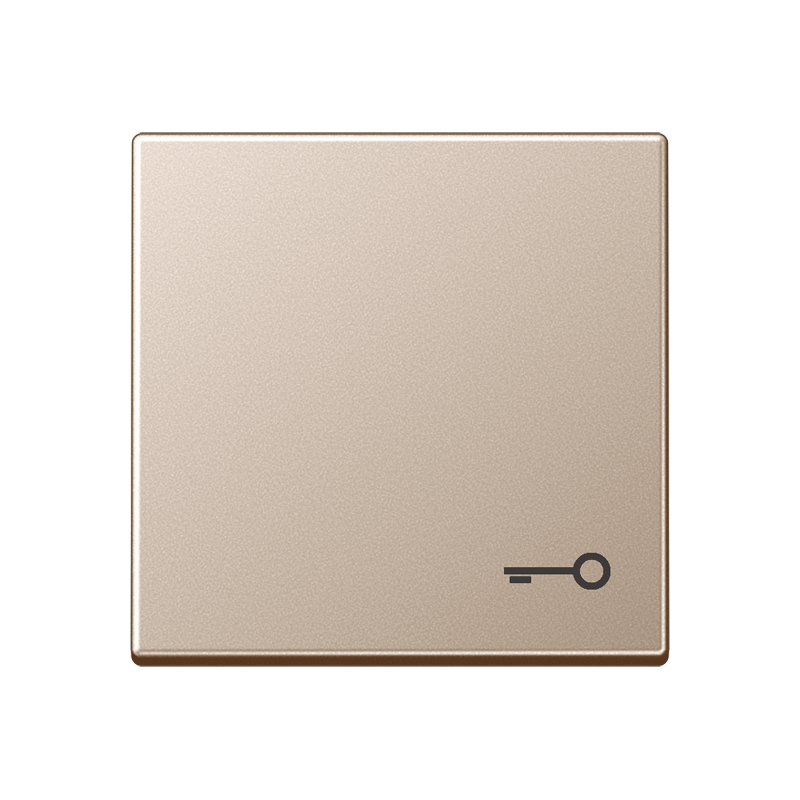 Jung A590TCH Wippe, Symbol Tür, Duroplast lackiert, Serie A, champagner