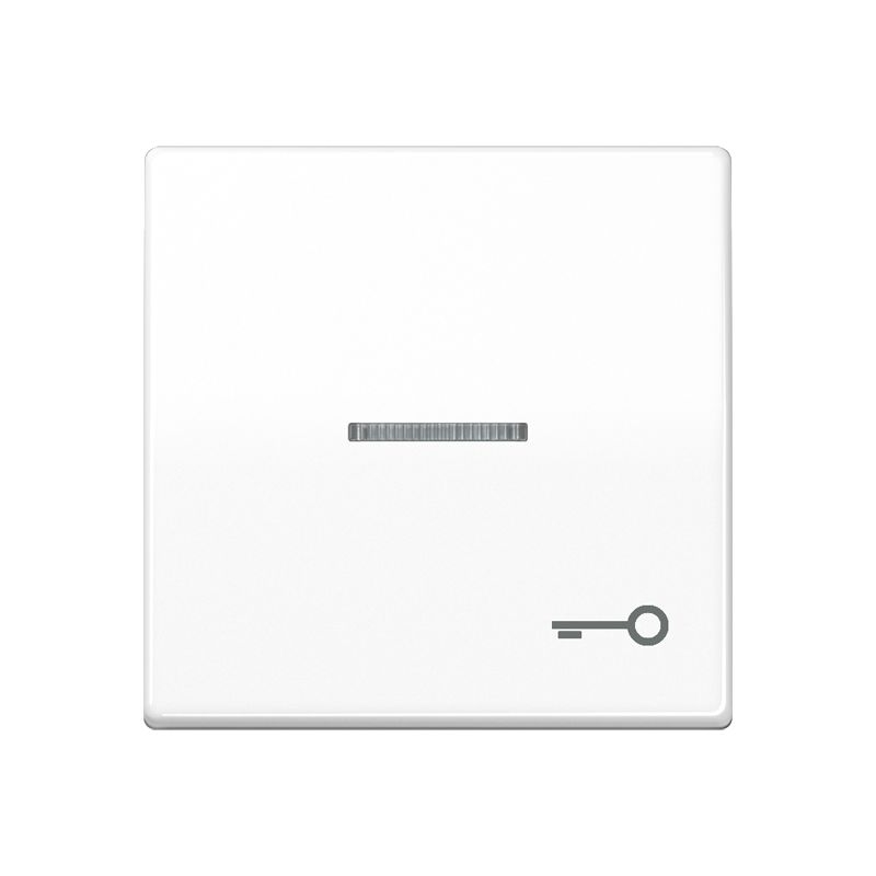 Jung SPAS591KO5TWW Wippe mit Lichtleiter, Symbol Tür, Duroplast antimikrobiell, Serie AS, alpinweiß
