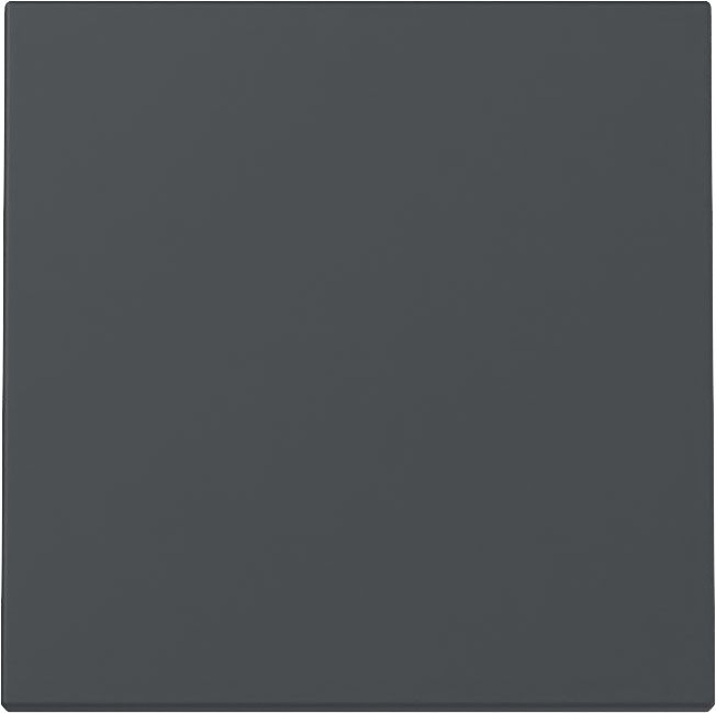 Gira 329628 Wippe, System 55, anthrazit