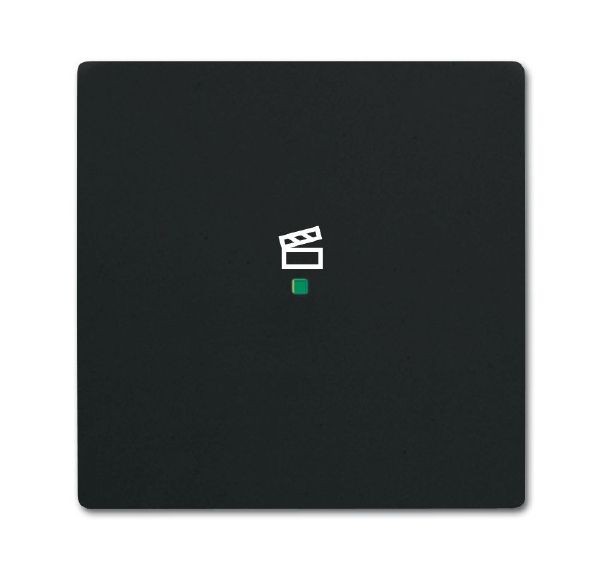 Busch-Jaeger 6233-10-885 Wippe 1-fach mit Symbol Szene