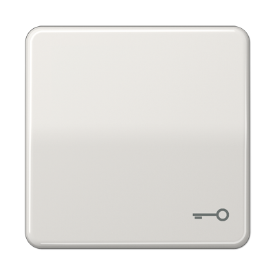 Jung CD590TLG Wippe, Symbol Tür, Duroplast, Serie CD, lichtgrau