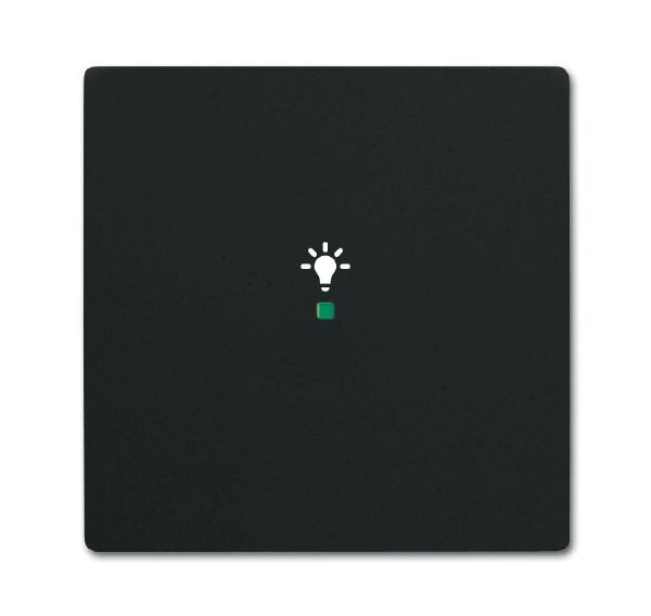 Busch-Jaeger 6231-10-885 Wippe 1-fach mit Symbol Licht