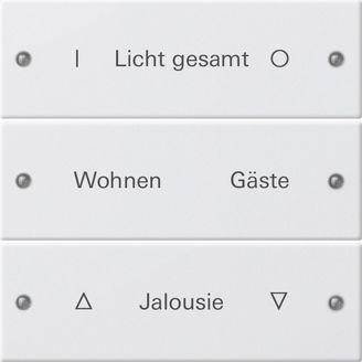 Gira 220303 Wippenset 3-fach beschreibbar System 55 Reinweiß lackiert