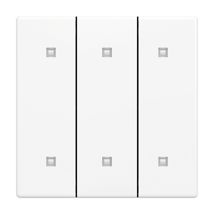 Busch-Jaeger 2570-30-84 Wippe 3-fach für Elektroniktaster mit transparenten Kalotten, studioweiß glänzend