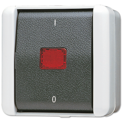 Jung 802KOW Wipp-Kontrollschalter, Aus 2-polig,  AX 250 V ~, IP 44, WG 800