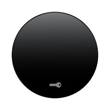 Berker 16202015 Wippe mit Aufdruck Symbol Tür, R.1/R.3, schwarz glänzend