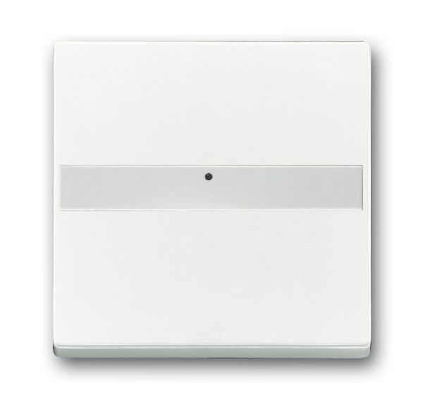 Busch-Jaeger 1764 NLI-84 Wippe 1-fach mit Beschriftungsfeld, Lichtleiter, studioweiß glänzend, Plattform 63