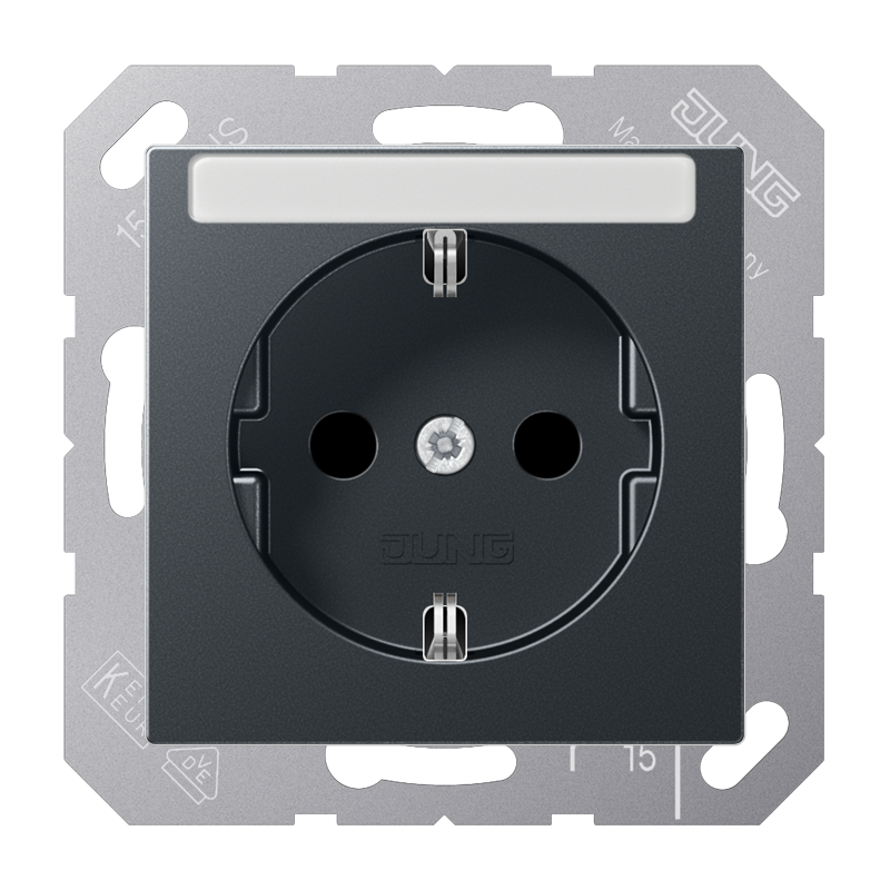 Jung  A 1520 BFKINA ANM Schutzkontakt-Steckdose 16 A 250 V ~ mit Schriftfeld 6x46mm