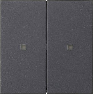 Gira 536928 Wippe 2-fach unbedruckt Kontrollfenster, System 55, anthrazit