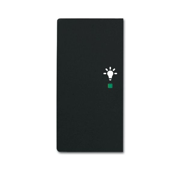 Busch-Jaeger 6231-21-885 Wippe 2-fach links mit Symbol Licht