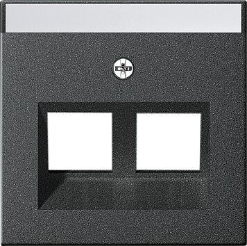 Gira 264028 Abdeckung 30° mit Beschriftungsfeld für Tragring Modular Jack 2-fach, System 55, anthrazit