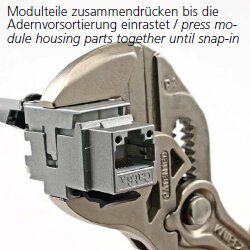 Telegärtner J00029K0036 AMJ Modul Cat.6A