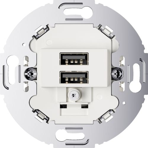 Berker R.classic Edelstahl polarweiß glänzend | elektroland24