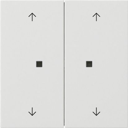 Gira 5386112 Wippe 2-fach Pfeile Kontrollfenster, Flächenchalter, reinweiß