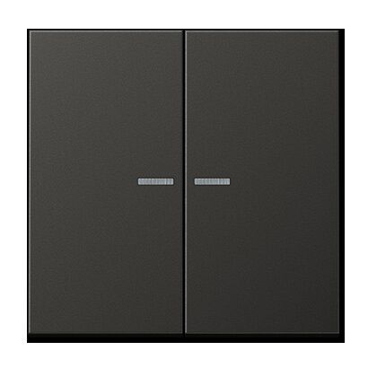 Jung AL2995KO5AN Wippe mit Lichtleiter, Aluminium lackiert, Serie LS, anthrazit