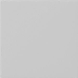 Gira 5372015 Wippe 1-fach unbedruckt, System 55, grau matt