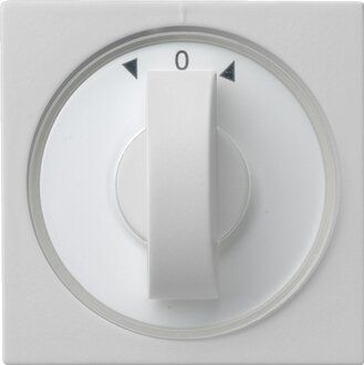 Gira 0666015 Abdeckung Knebel Zeitschalter und Jalousie, System 55, grau matt