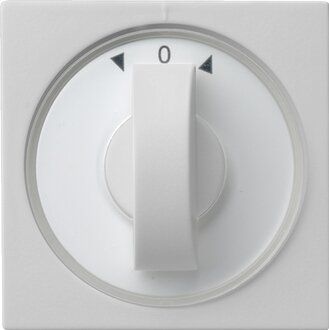 Gira 0666015 Abdeckung Knebel Zeitschalter und Jalousie, System 55, grau matt