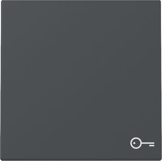 Gira 328728 Wippe Symbol "Tür", System 55, anthrazit